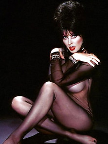 Cassandra Peterson (Elvira)