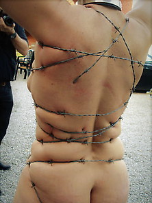Barbed Wire Bondage And Torture