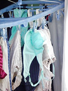 197 Laundry Hiroi
