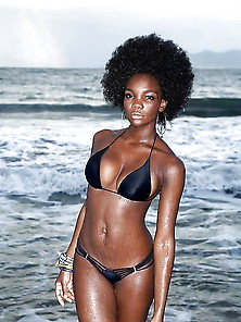 Black Beauty Ebony Bikini Vol 4