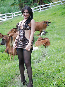 Sultry Shemale In The Meadow
