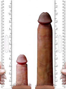 My Penis Measured
