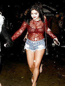 Ariel Winter - West Hollywood,  January,  2017