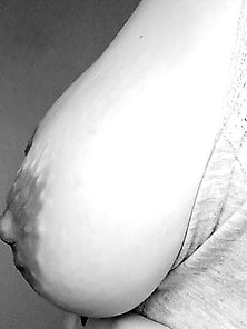 Pussy - Tits - Ass - Black&white