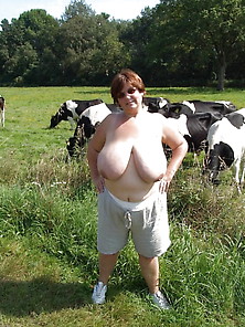Fat Cows With Big Udders (Bbws With Udderly Ridiculous Boobs