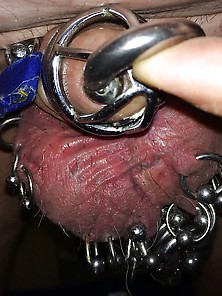 Pierced Slavedick Ball Pressing