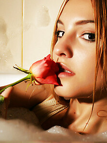 Wet Rose By Natasha Schon
