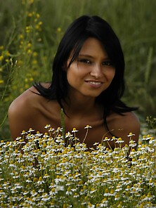 European Brunette Girl Models In The Nude With Flowers In Camomi