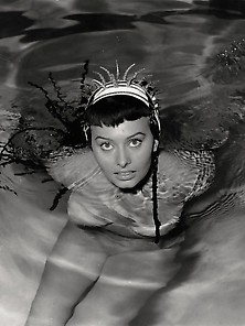 Celebs 034 Sophia Loren