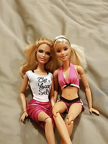Barbie And Summer's Night In
