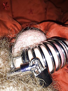 Sissy In Metal Chastity Cage: Me