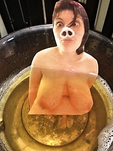Piss Bath For Pigmely