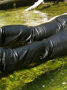 Wet Leather