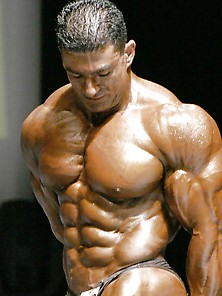 The Most Handsome Of All Bodybuilders Are Moroccans