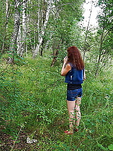 In Birch Forest