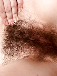 American Small Mature Hairy Cunt