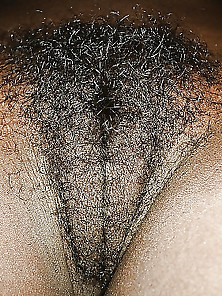 Hairy Ass Pussy I Like Vol. 172