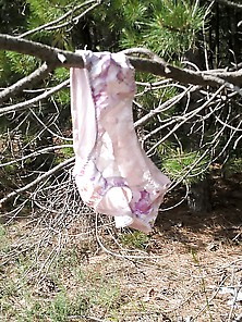 Panty Found In Forest