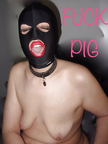 Pigwife1- She Pleased Me To Repost Her