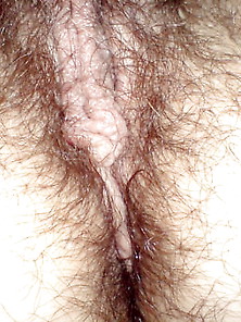 More Hairy Pussy