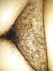 My Wife Hairy & Tite Pussy