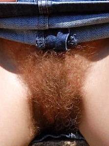 Hairy Pussies 33