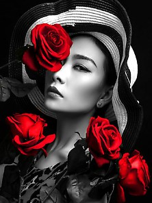 22 Red Black Roses