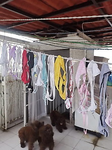 Clothes Line Thongs 2