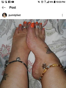 Miss Purrrdy Feet