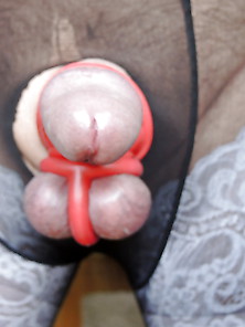 Oxball And Nylons