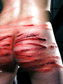 Extreme Whipping Films In Pain