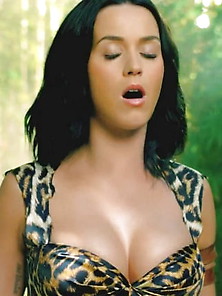 Katy Perry Face