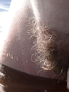 Hairy Pussy Amateur Pussy