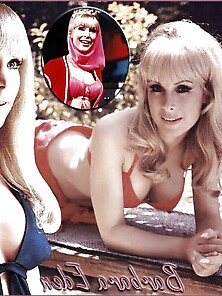 Asn So Light-Haired And Stellar That I Wish Of Barbara Eden Jean