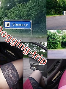 Dogging-Trip In Car (Bisexual)