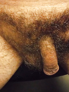 Clean And Hairy