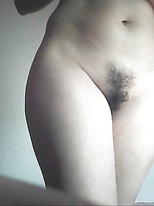 Hairy Pussy Of My Wife