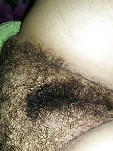 Hairy Pussy May Wife