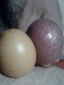 My Egg Has Itself Size What A Chicken Egg,  Fabulous!