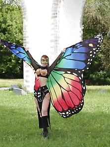 Wings Of Butterfly