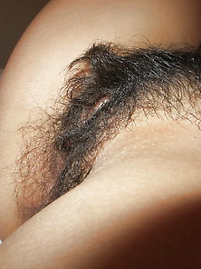 Very Hairy Black Bush