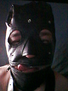 Bring Out The Gimp!