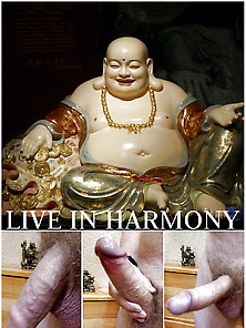 Live In Harmony